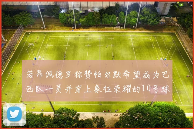 若昂佩德罗称赞帕尔默希望成为巴西队一员并穿上象征荣耀的10号球衣
